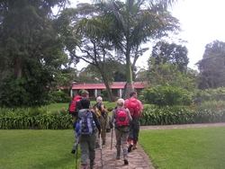 Setting off on the post lunch walk